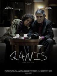 QANIS (2014)