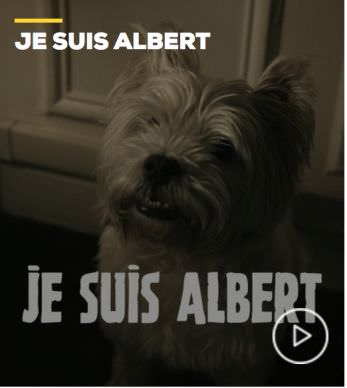 JE SUIS ALBERT