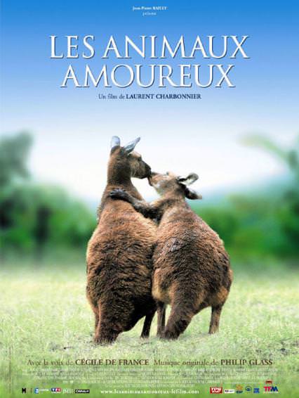 Les animaux amoureux les-animaux-amoureux